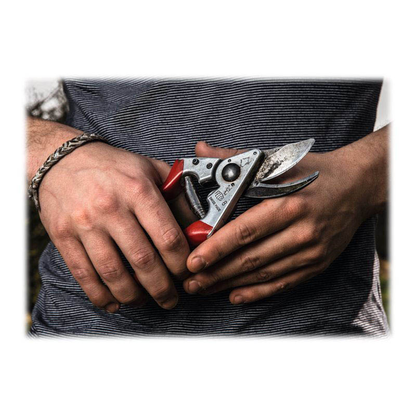 Artikelbild 2 für FELCO 8 Gartenschere, Artikelnummer 433963