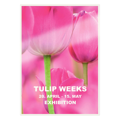 Artikelbild 7 für LEITZ UDT Laminierfolien glänzend für A4 125 micron, 100 St., Artikelnummer 472555