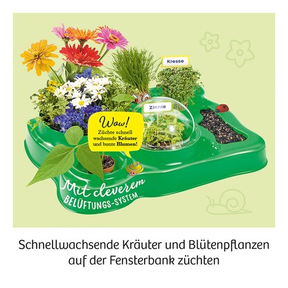 Artikelbild 6 für KOSMOS Experimentierkasten Mein erstes Gewächshaus mehrfarbig, Artikelnummer 820557