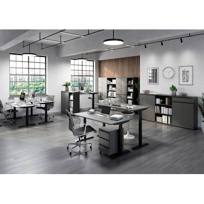 Artikelbild 5 für GERMANIA Aktenregal Bedano grafit 80,0 x 40,0 x 197,0 cm, 1 St., Artikelnummer 389146