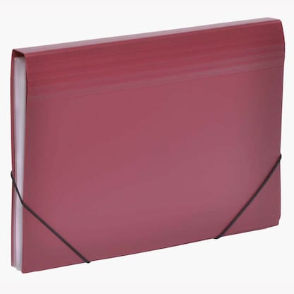 Artikelbild 7 für FolderSys Fächermappe 12 Fächer rot, 1 St., Artikelnummer 642082