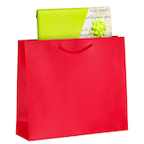 Artikelbild 1 für VP Papier-Tragetaschen rot 42,0 x 36,0 cm, 25 St., Artikelnummer 501515