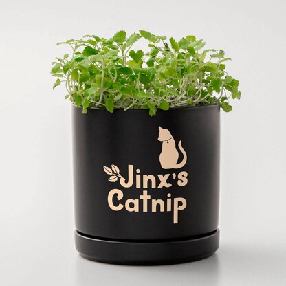 Artikelbild 5 für cricut™ Joy Xtra Smart Vinyl Classics Vinylfolie wiederablösbar farbsortiert 24,1 x 30,5 cm, 3 St., Artikelnummer 299929