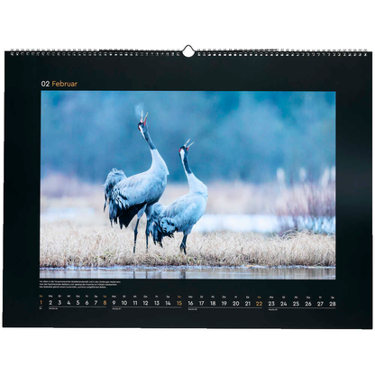 Artikelbild 3 für KUNTH Monats-Wandkalender Wildnis Deutschland 2026, 1 St., Artikelnummer 575898