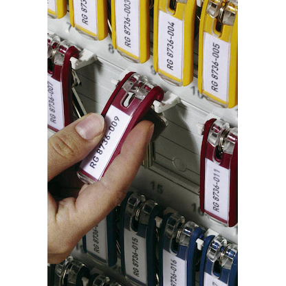 Artikelbild 3 für DURABLE Schlüsselanhänger KEY CLIP farbsortiert, 18 St., Artikelnummer 579136