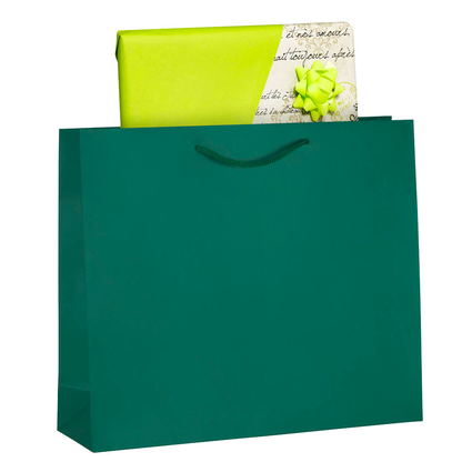 Artikelbild für VP Papier-Tragetaschen grün 42,0 x 36,0 cm, 25 St., Artikelnummer 501522