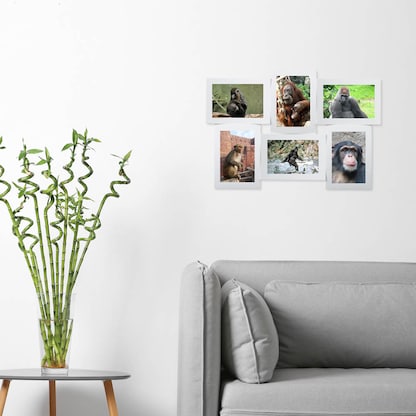 Artikelbild 8 für relaxdays Collage-Bilderrahmen weiß 47,5 x 33,0 cm, 1 St., Artikelnummer 521887