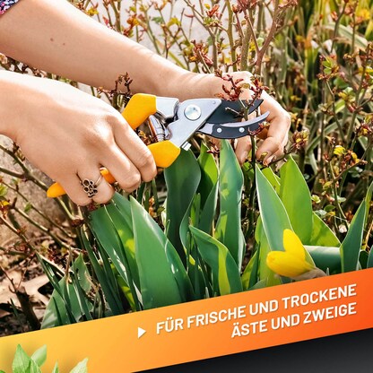 Artikelbild 5 für GRÜNTEK® Gartenschere, Artikelnummer 316459