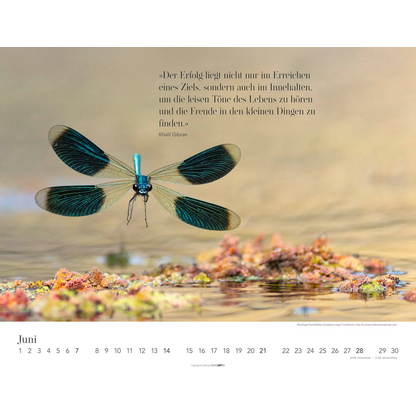 Artikelbild 7 für Weingarten Monats-Wandkalender Wege des Erfolgs 2026, 1 St., Artikelnummer 551087