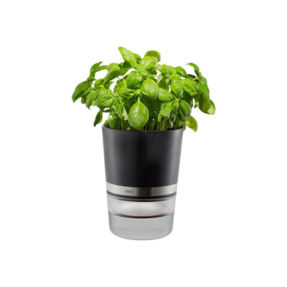 Artikelbild für GEFU® Übertopf Botanico Metall, Ø 14,2 cm schwarz rund, 1 St., Artikelnummer 626501