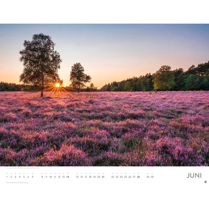 Artikelbild 7 für Heye Monats-Wandkalender Schönes Deutschland 2026, 1 St., Artikelnummer 551091