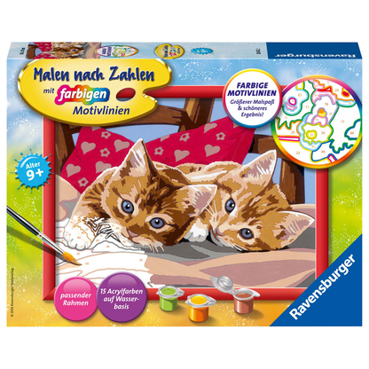 Artikelbild für Ravensburger Malen-nach-Zahlen Zwei Schmusekätzchen mehrfarbig, Artikelnummer 475693