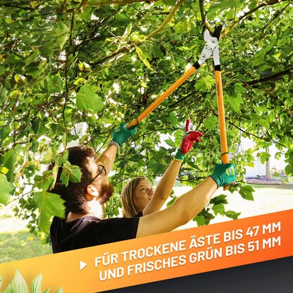 Artikelbild 3 für GRÜNTEK® T-REX Astschere, Artikelnummer 316368