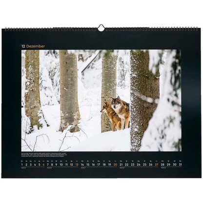 Artikelbild 13 für KUNTH Monats-Wandkalender Wildnis Deutschland 2026, 1 St., Artikelnummer 575898
