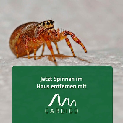 Artikelbild 2 für GARDIGO Insektenfänger weiß, grün, 1 St., Artikelnummer 796787