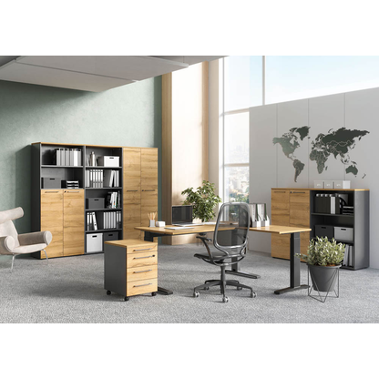 Artikelbild 4 für GERMANIA Regalschrank Agenda Home, 4236-564 grafit, grandson-eiche 80,0 x 40,0 x 197,0 cm, 1 St., Artikelnummer 121562