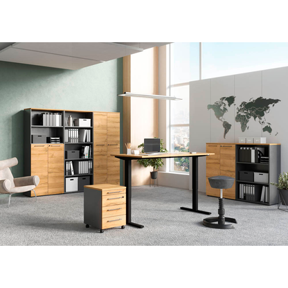 Artikelbild 6 für GERMANIA Regalschrank Agenda Home, 4236-564 grafit, grandson-eiche 80,0 x 40,0 x 197,0 cm, 1 St., Artikelnummer 121562