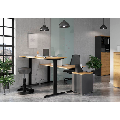 Artikelbild 5 für GERMANIA Regalschrank Agenda Home, 4236-564 grafit, grandson-eiche 80,0 x 40,0 x 197,0 cm, 1 St., Artikelnummer 121562