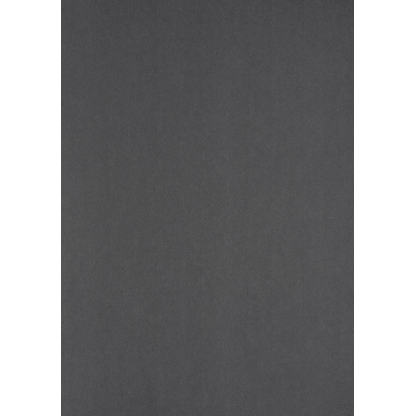 Artikelbild für LMG Rückwände für Bindemappen grau, DIN A4 270 g/qm, 100 St., Artikelnummer 545194