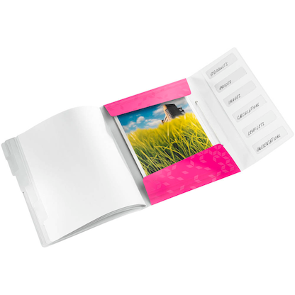 Artikelbild 2 für LEITZ Ordnungsmappe WOW 4633 6 Fächer pink, 1 St., Artikelnummer 400287