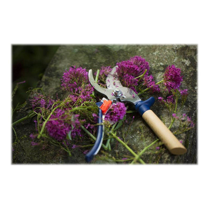 Artikelbild 2 für OPINEL Gartenschere, Artikelnummer 625691