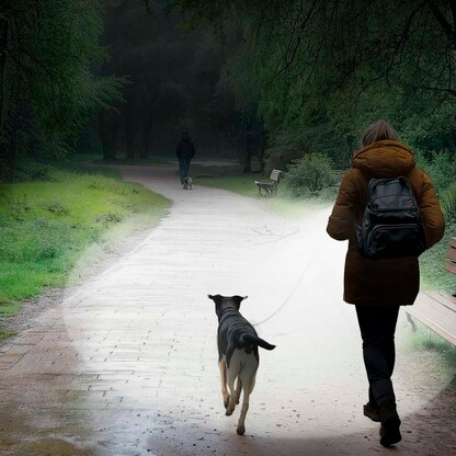 Artikelbild 3 für hama FL250 LED Taschenlampe silber 17,5 cm, 1 St., Artikelnummer 777009