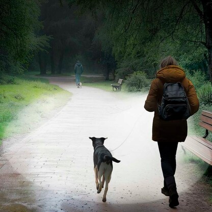 Artikelbild 2 für hama FL350-C LED Taschenlampe silber 17,5 cm, 1 St., Artikelnummer 776896