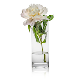 Artikelbild 1 für RONA Vase Ambiente transparent, 1 St., Artikelnummer 629996