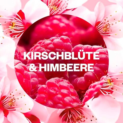 Artikelbild 5 für AIRWICK Duftstecker STARTER SET fruchtig 19 ml, 1 St., Artikelnummer 790382