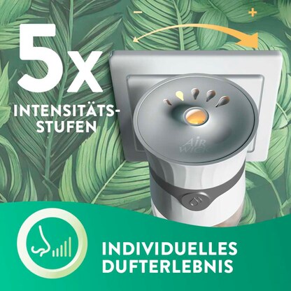 Artikelbild 6 für AIRWICK Duftstecker STARTER SET fruchtig 19 ml, 1 St., Artikelnummer 790382