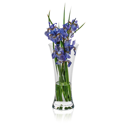 Artikelbild für RONA Vase Ambiente transparent, 1 St., Artikelnummer 630077