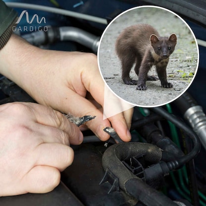 Artikelbild 5 für GARDIGO Marder-Frei Indoor LED Tierabwehrmittel, Artikelnummer 796769