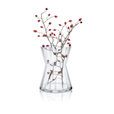 Artikelbild 1 für RONA Vase Ambiente transparent, 1 St., Artikelnummer 630089