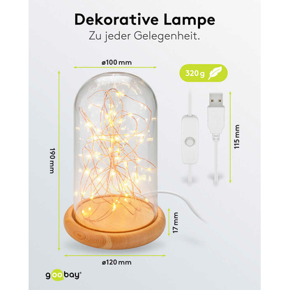 Artikelbild 7 für goobay LED Dekoleuchte transparent, 1 St., Artikelnummer 725311