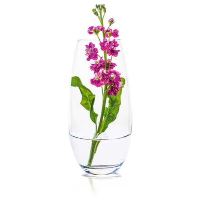 Artikelbild für RONA Vase Ambiente transparent, 1 St., Artikelnummer 630117