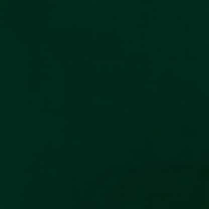 Artikelbild 5 für JUNG SCHÖNER VERPACKEN Geschenkpapier Vollton Uni grün, 20,0 m, Artikelnummer 715811