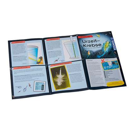 Artikelbild 6 für KOSMOS Experimentierkasten Urzeit-Krebse mehrfarbig, Artikelnummer 197511