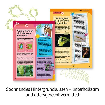 Artikelbild 4 für KOSMOS Experimentierkasten Fleischfressende Pflanzen mehrfarbig, Artikelnummer 820718