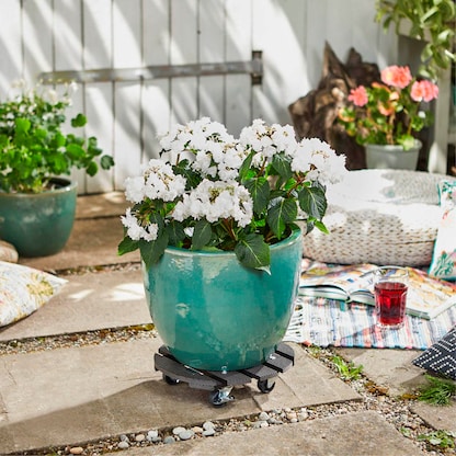 Artikelbild 4 für WAGNER® design yourself Pflanzenroller WPC GH 0525 Kunststoff, Ø 29,0 cm anthrazit rund, 1 St., Artikelnummer 419927