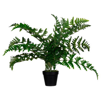 Artikelbild für meet powered by PAPERFLOW FARN Kunstpflanze 55,0 cm, Artikelnummer 521699