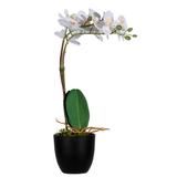 Artikelbild 1 für meet powered by PAPERFLOW ORCHIDEE Kunstpflanze 40,0 cm, Artikelnummer 521718