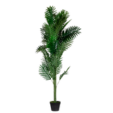 Artikelbild 1 für meet powered by PAPERFLOW PALME Kunstpalme 160,0 cm, Artikelnummer 521736