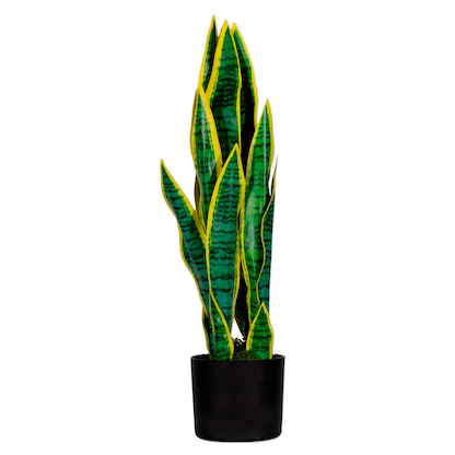 Artikelbild für meet powered by PAPERFLOW SANSEVIERIA Kunstpflanze 65,0 cm, Artikelnummer 521809