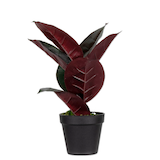 Artikelbild 1 für meet powered by PAPERFLOW GUMMIBAUM Kunstbaum 36,0 cm, Artikelnummer 521751