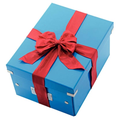 Artikelbild 8 für LEITZ Click & Store Aufbewahrungsbox 16,7 l blau 28,1 x 36,9 x 20,0 cm, 1 St., Artikelnummer 127340