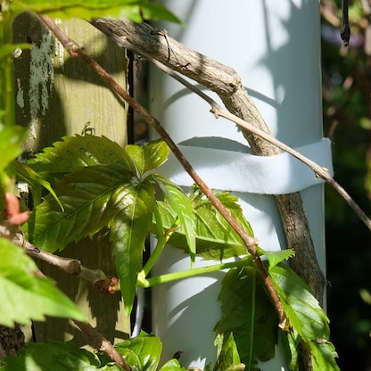 Artikelbild 3 für LABEL THE CABLE Klettband ROLL STRAP weiß 3,0 m x 1,6 cm, 1 St., Artikelnummer 654691