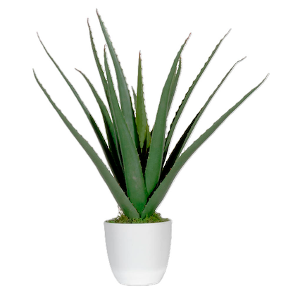 Artikelbild für meet powered by PAPERFLOW ALOE VERA Kunstpflanze 45,0 cm, Artikelnummer 521787