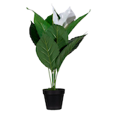 Artikelbild 1 für meet powered by PAPERFLOW EINBLATT Kunstpflanze 55,0 cm, Artikelnummer 521797