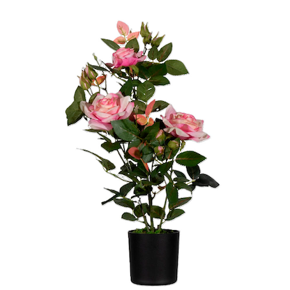 Artikelbild 2 für meet powered by PAPERFLOW ROSENSTOCK Kunstpflanze 54,0 cm, Artikelnummer 521829