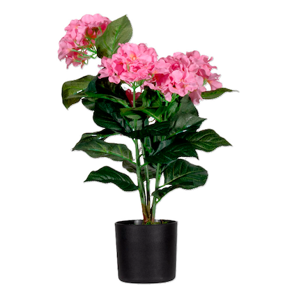 Artikelbild für meet powered by PAPERFLOW HORTENSIE Kunstpflanze 55,0 cm, Artikelnummer 521862